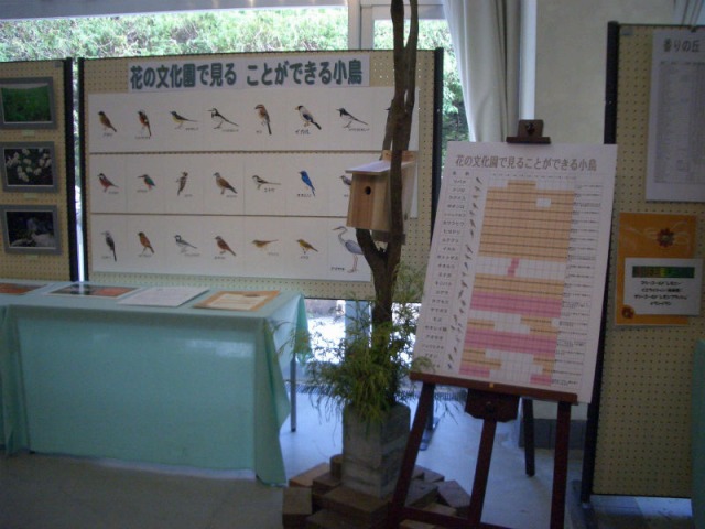 2006年9月の第1回フルル展の展示