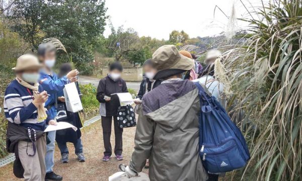 11/28自然かんさつ会・ススキ