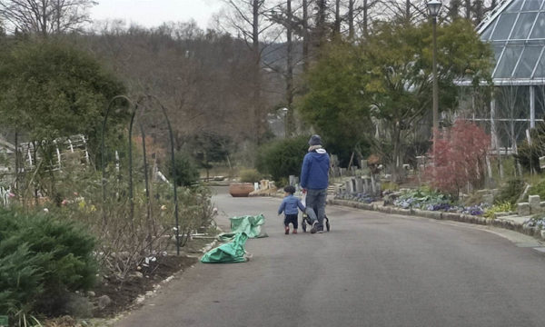 1/5園内