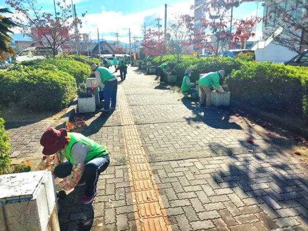 11/25　通路沿いの植込み作業