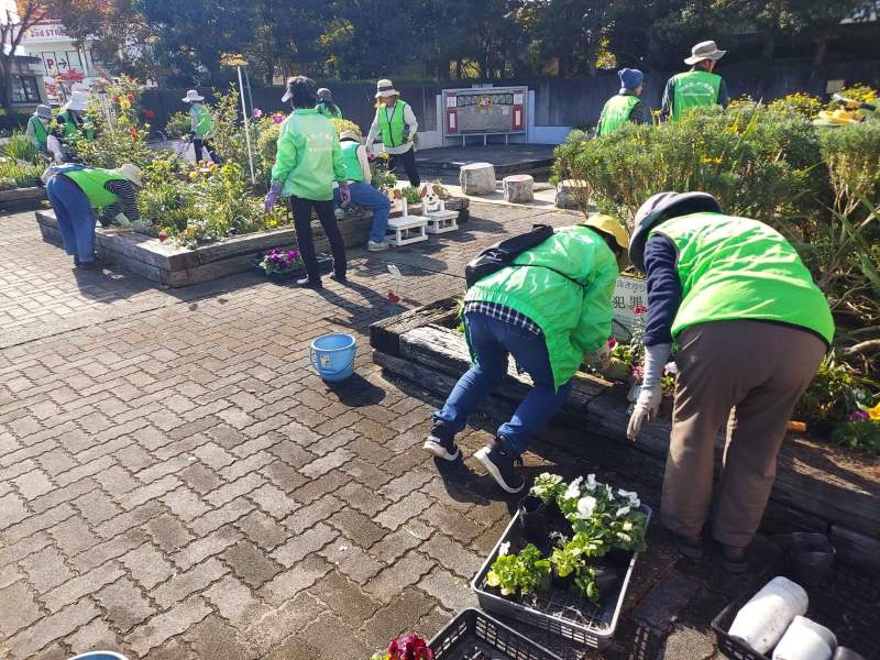 11/25　株の植込み作業