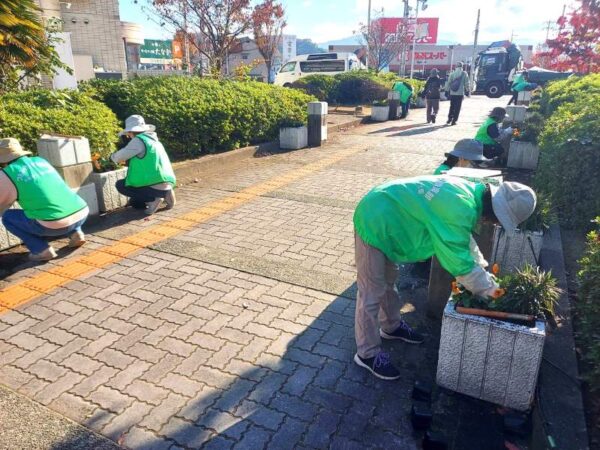 11/25　通路沿いの植込み作業