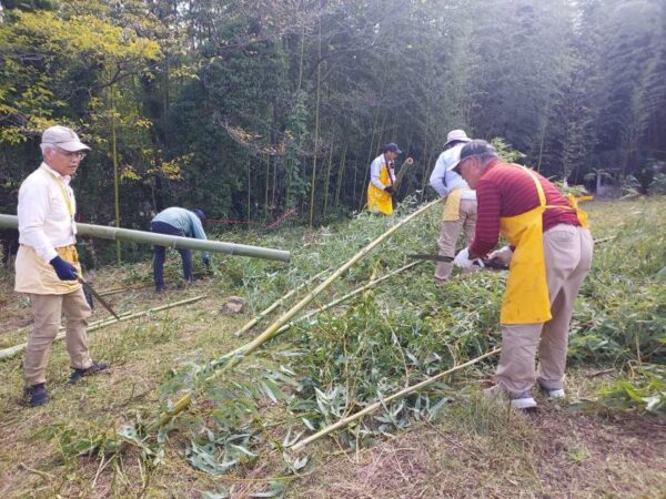 竹灯籠作り　竹の切り出し作業