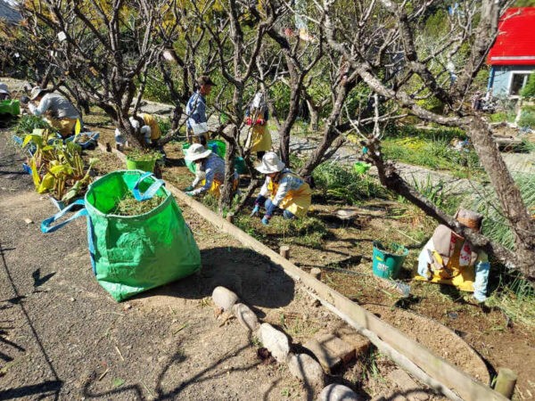 10/17　球根園で球根の堀上作業