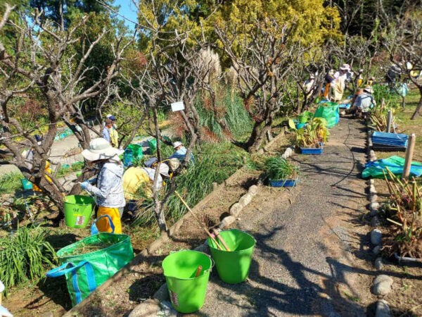 10/17　球根園で球根の堀上作業