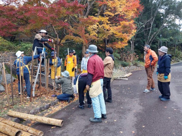 11/28　園長も様子を見に来ています