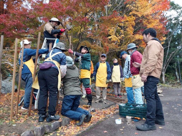 11/28　脚立を支えたりライトを巻き付けたり