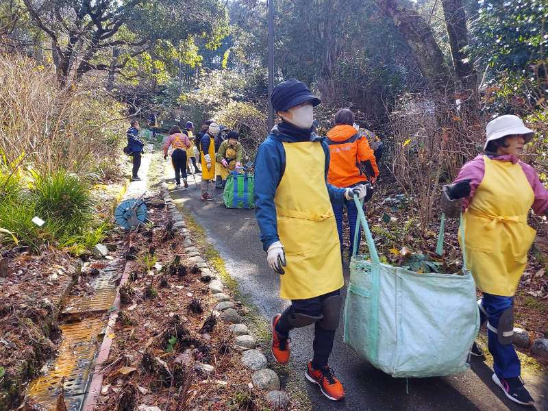 アジサイ園　整備作業