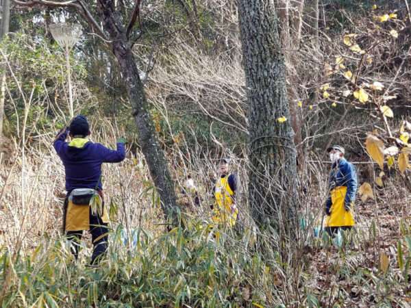 アジサイ園～もみじ谷　落枝を取り除く作業