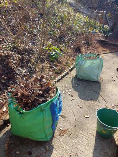 アジサイ園～もみじ谷　取り除かれた枯葉や枝