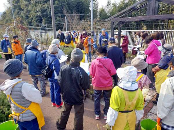 バラ園　講座生実習　冬剪定説明