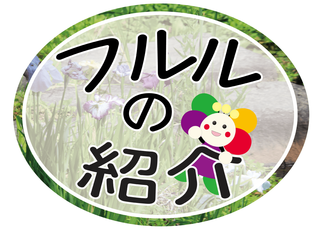 フルルの紹介