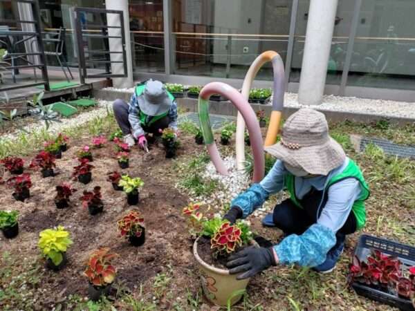 医療センター 春の植替え 250521