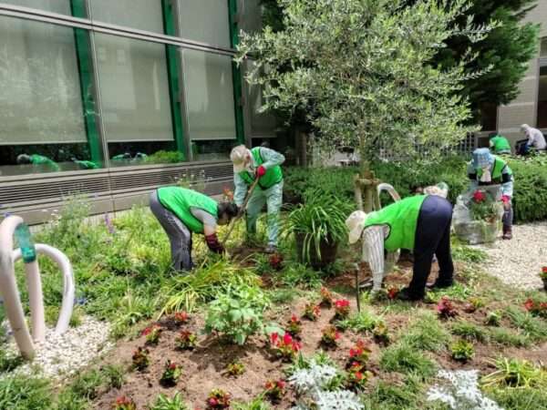医療センター 春の植替え 250521