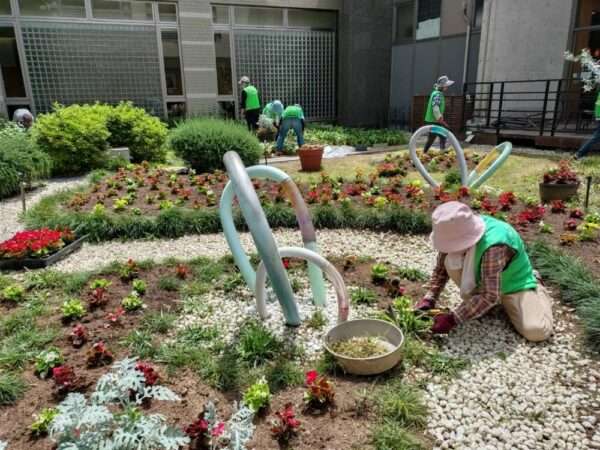 医療センター 春の植替え 250521