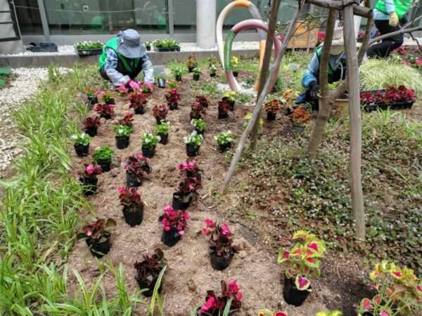 医療センター 春の植替え 250521