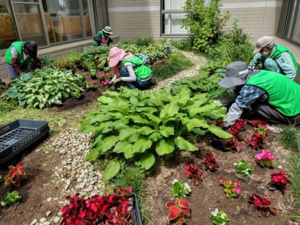 医療センター 春の植替え 250521