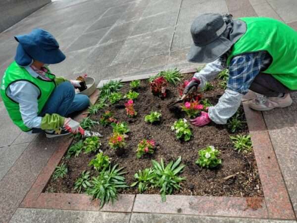 医療センター 春の植替え 250521