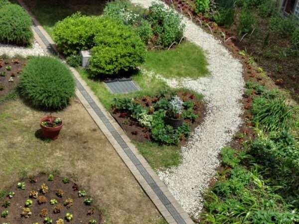 医療センター 春の植替え 250521