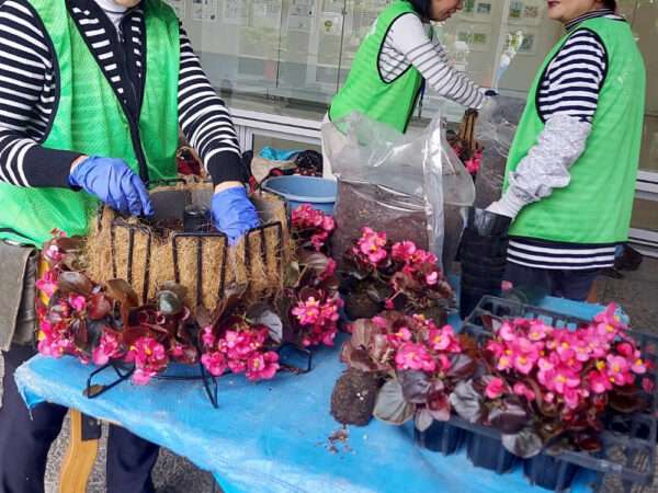 市役所・春の植替え　250526