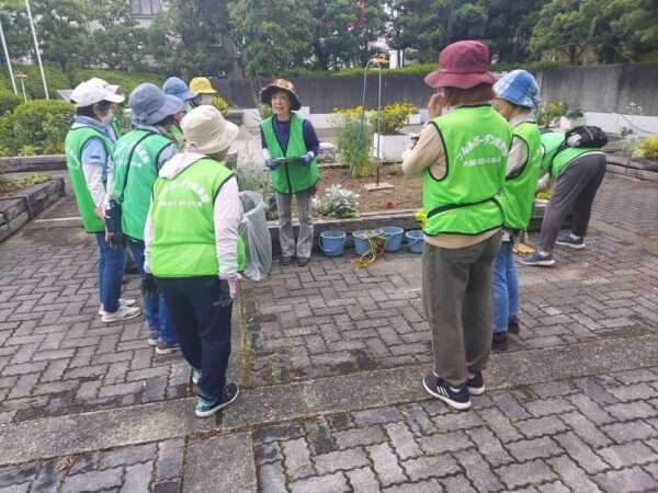 市役所・春の植替え　250526