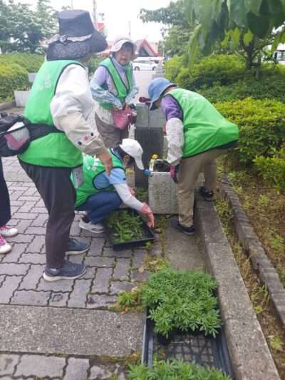 市役所・春の植替え　250526