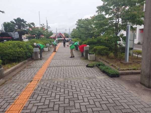 市役所・春の植替え　250526