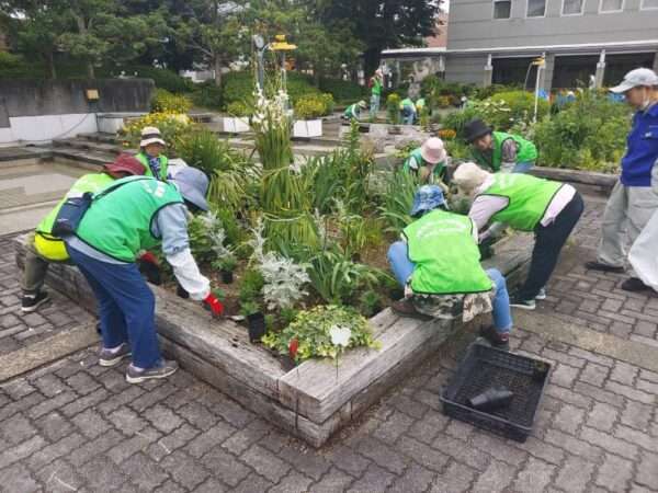 市役所・春の植替え　250526