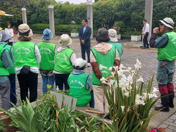 市役所・春の植替え　250526