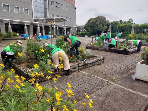 市役所・春の植替え　250526
