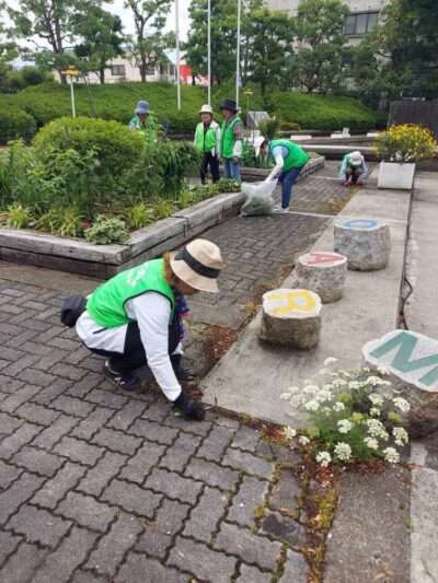 市役所・春の植替え　250526