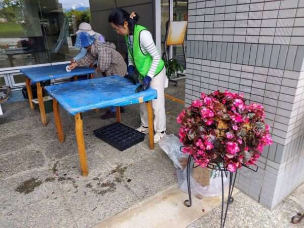 市役所・春の植替え　250526