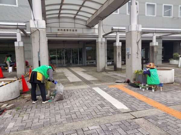 市役所・春の植替え　250526