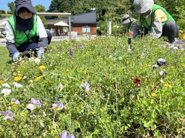 くろまろフルルガーデン 土つくり作業 250528