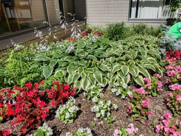 医療センター 250618
