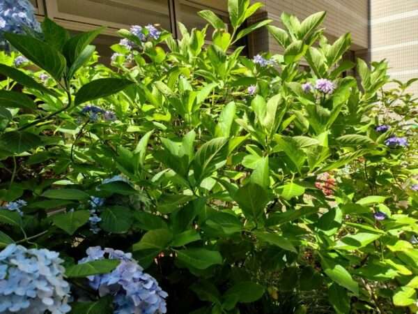 医療センター 250618