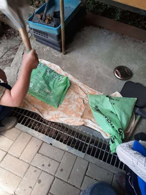 草木染　250619
