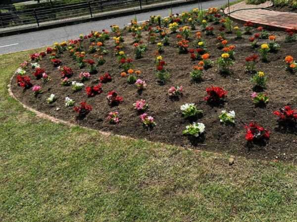 250604　くろまろフルルガーデン　春の植替え