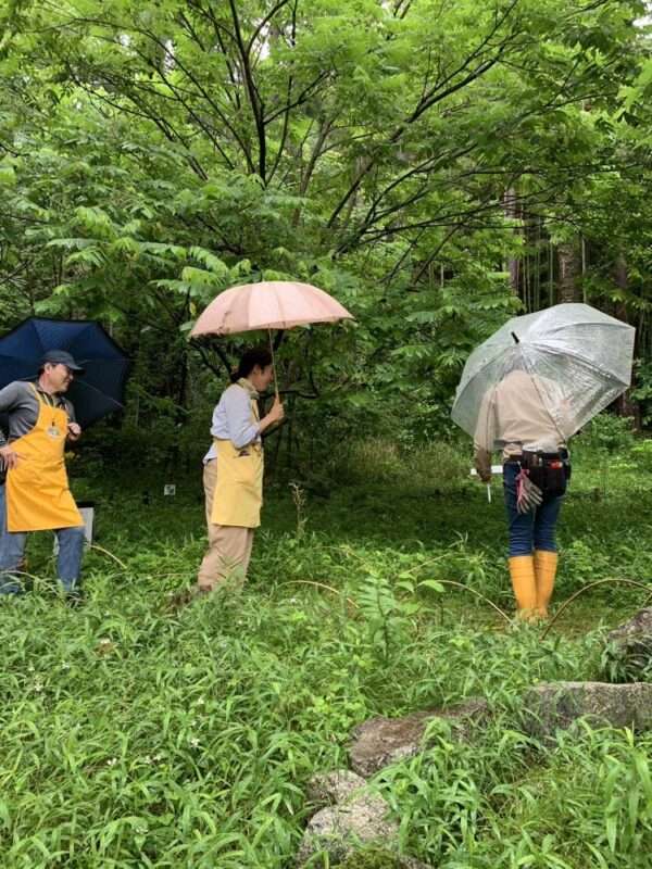 一般活動 250603