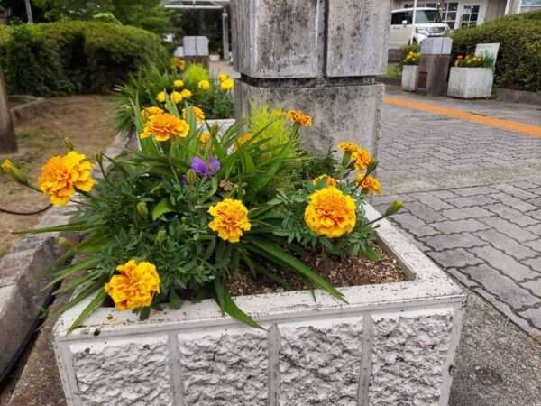 市役所G　250623