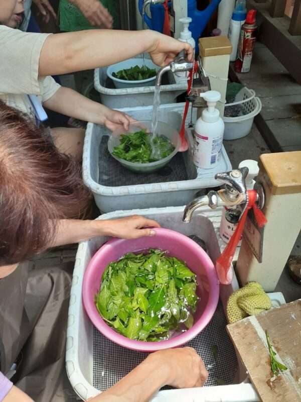 草木染 250701
