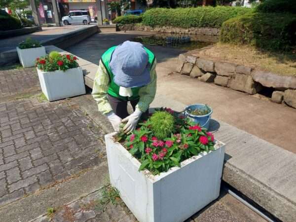 市役所 2507