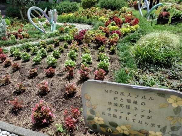 大阪南医療センター 250716