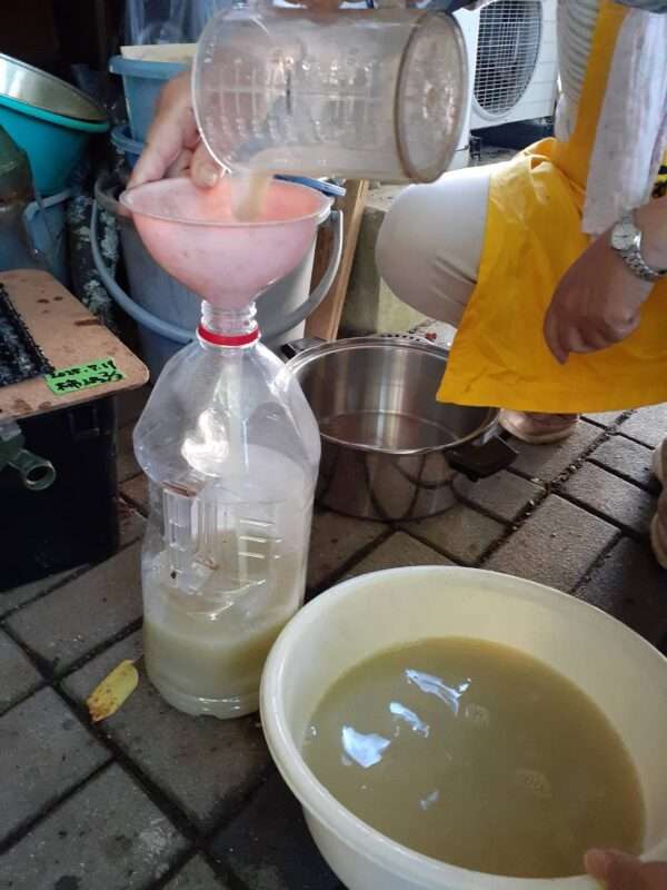 草木染 250726