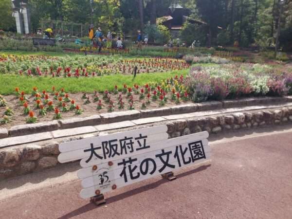 早朝活動　250918