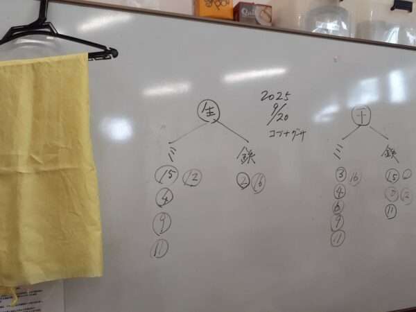 草木染　250920