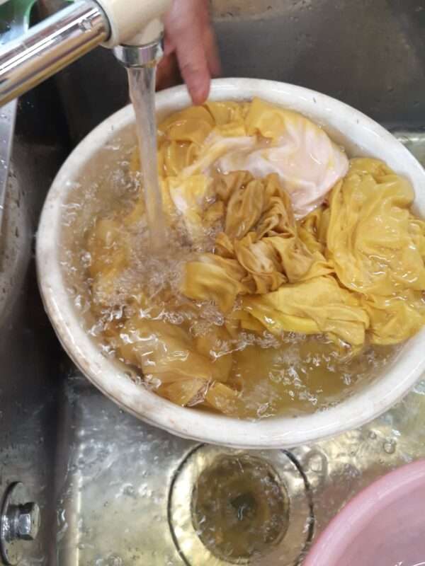 草木染　250920