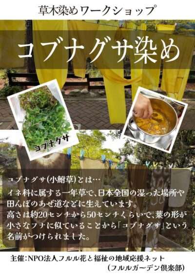 関西文化の日　251115