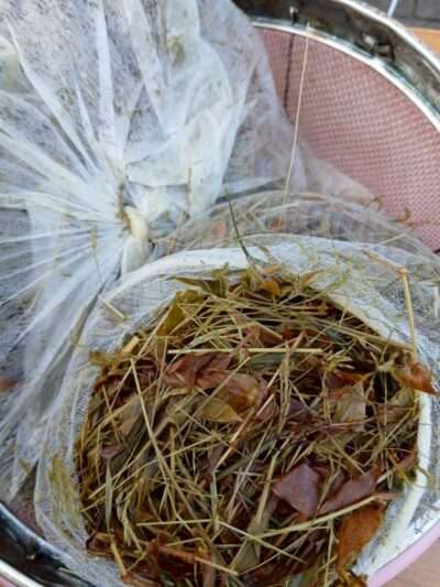 関西文化の日　251115