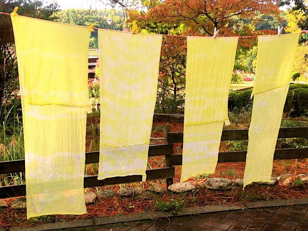 談話会　草木染　251106